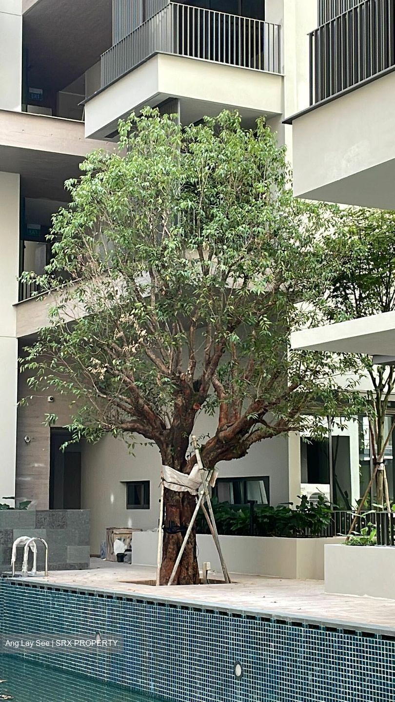 10 Evelyn (D11), Apartment #357475211